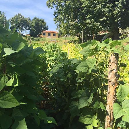 Agriturismo Bicocchi Villa Piteglio Eksteriør bilde