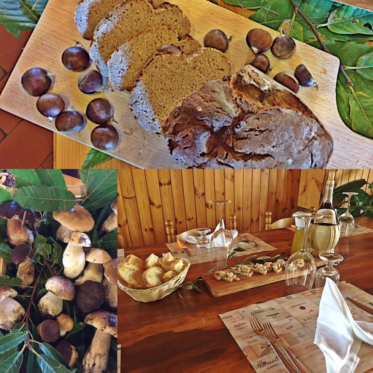 Agriturismo Bicocchi Villa Piteglio Eksteriør bilde