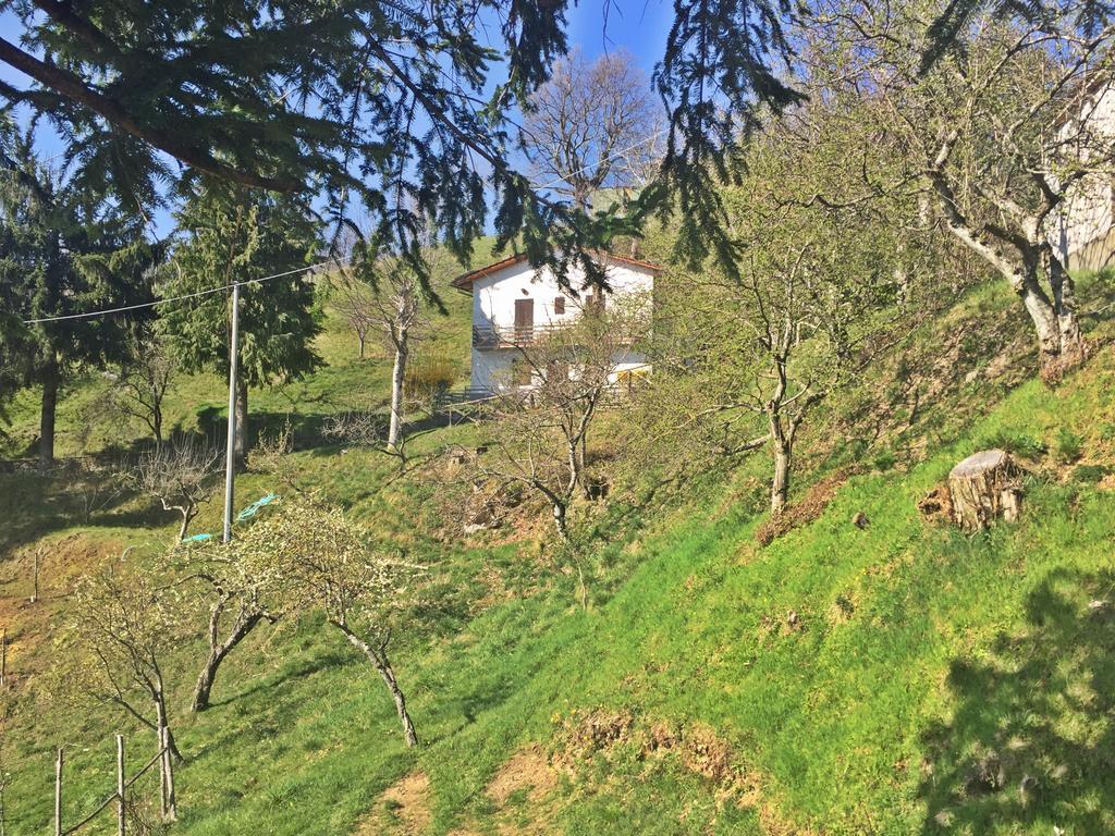 Agriturismo Bicocchi Villa Piteglio Eksteriør bilde